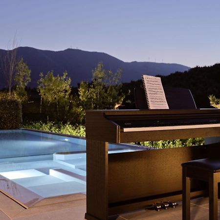 Drallos Luxury Villa Alykanas  Buitenkant foto